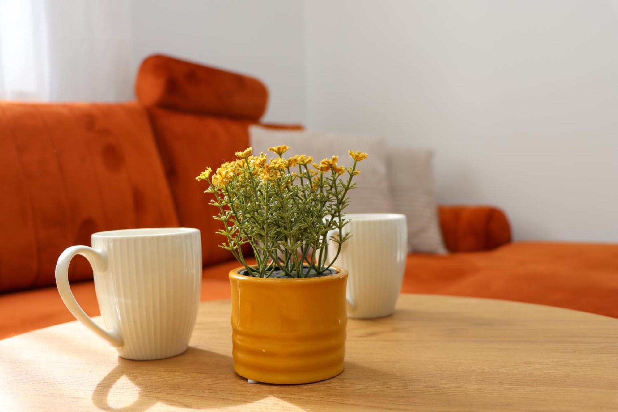 Apartments Titi Цавтат Экстерьер фото
